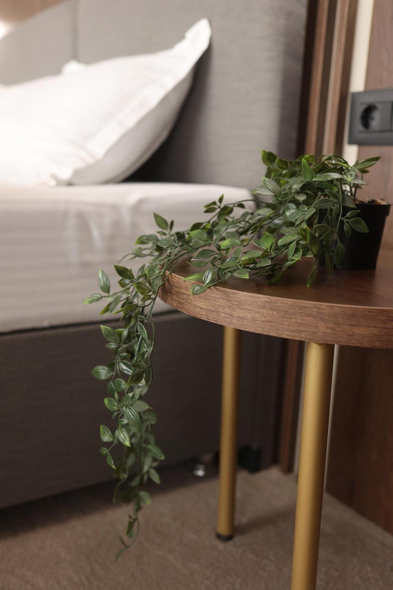 Sonio Boutique Hotel ママイア エクステリア 写真